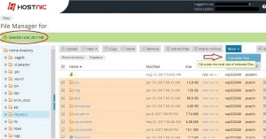 Cara Menghitung Ukuran File dan Folder di File Manager Plesk Panel