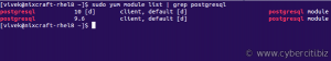 Cara install dan setup PostgreSQL di RHEL 8 / Centos 7