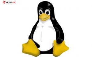 Windows menambahkan kernel linux pada WSL2  ???