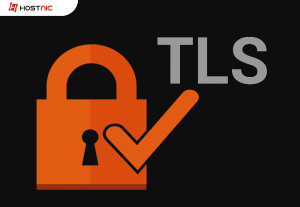 Disable TLS pada Postfix