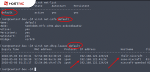 Melihat IP Address pada VM menggunakan virsh command