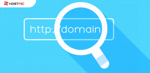 Jenis Jenis Level Domain