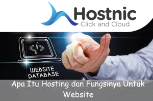 Apa Itu Hosting dan Fungsinya Untuk Website