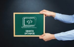 Mengenal Database Oracle Serta Fungsinya