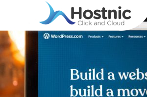 Tips Memilih Themes WordPress Sesuai Kebutuhan Website