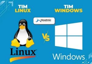 Perbedaan VPS Windows dan Linux Duel Sengit Mana yang Menang?