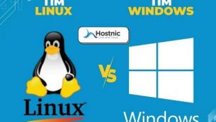 Perbedaan VPS Windows dan Linux Duel Sengit Mana yang Menang?