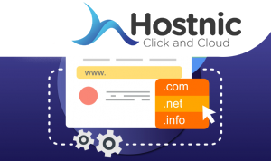 Berikut Ini Yang Bukan Jenis-Jenis Domain Dalam Website