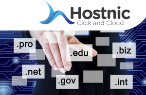 Situs Organisasi Di Indonesia Menggunakan Top Level Domain Apa?