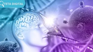 Kelebihan dan kekurangan virtualisasi