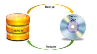 Pentingnya Backup Dan Restore Database