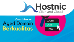 Panduan Mencari Aged Domain Berkualitas: Langkah Demi Langkah