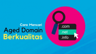 Panduan Mencari Aged Domain Berkualitas