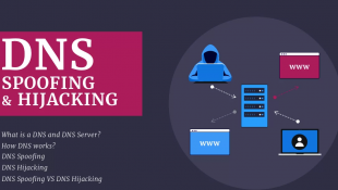 Perbandingan Domain Hijacking Dan DNS Poisoning
