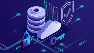 Resiko Apa Saja Yang Terdapat Pada Database Security