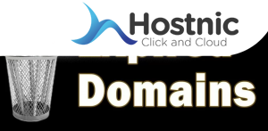 Menggunakan Domain Expired PBN untuk Meningkatkan Peringkat Situs Web Anda dengan Cepat!