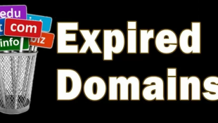 Menggunakan Domain Expired PBN untuk Meningkatkan Peringkat Situs Web Anda dengan Cepat!
