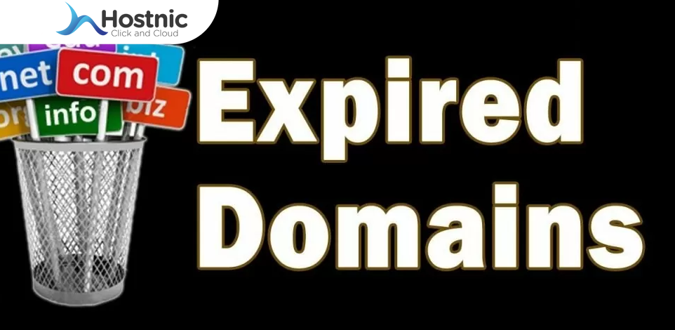 Menggunakan Domain Expired PBN untuk Meningkatkan Peringkat Situs Web Anda dengan Cepat!