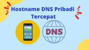 Hostname DNS Tercepat: Temukan Nama Host Dengan Resolusi DNS