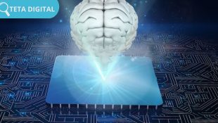 DNS Dengan Ping Terkecil: Kecepatan Tidak Terbandingkan