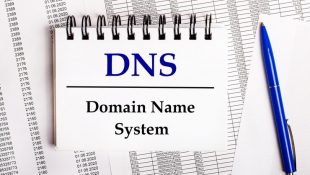 DNS Checker Indonesia
