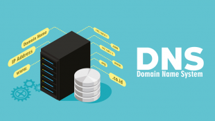 DNS Server Tercepat dan Stabil: Pilihan Terbaik untuk Kinerja Jaringan yang Optimal