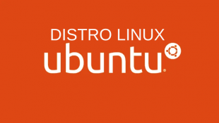 Distro Linux Ubuntu: Solusi Populer untuk Penggunaan Harian