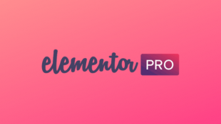 Elementor Pro Download: Memperoleh Versi Pro untuk Pengalaman Desain Terbaik