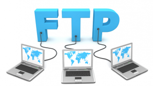 Jenis-jenis FTP Server: Pilihan Platform untuk Layanan Transfer File!