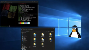 Linux Ringan Mirip Windows: Pilihan Sistem Operasi yang Familiar