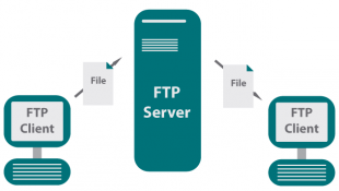 Perbedaan FTP Server dan FTP Client: Memahami Peran dan Interaksi Keduanya!