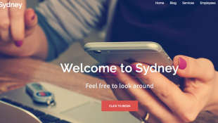 Sydney WordPress Theme: Tema Populer untuk Keperluan Bisnis dan Portofolio