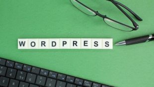 Theme WordPress Paling Ringan: Pilihan Terbaik Untuk Kecepatan