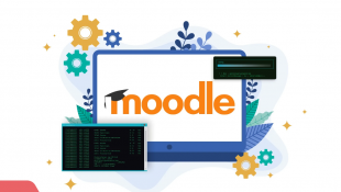 Hemat Biaya dengan Hosting Moodle Murah