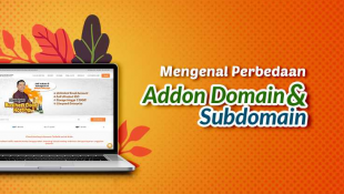 Perbedaan Subdomain dan Addon Domain: Penjelasan Singkat