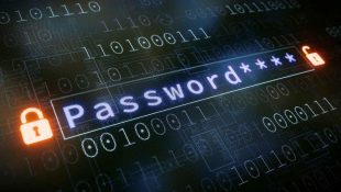Brute Force Password Online: Keamanan dan Perlindungan Data