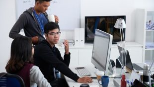belajar web developer