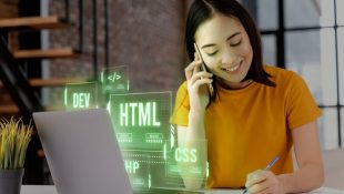 profesi web developer