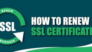 Cara Update SSL Certificate Dengan Cepat Dan Tepat: Tips Terbaru