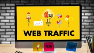 Apa Saja Jenis Traffic Dalam SEO, Pahami Untuk Meningkatkan Visibilitas Online!