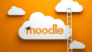 Kelebihan dan Kekurangan Moodle, Pertimbangan Sebelum Implementasi