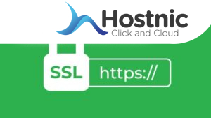 SSL Bahasa Gaul: Keamanan Simpel, Seru!