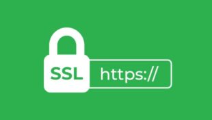 SSL Bahasa Gaul: Keamanan Simpel, Seru!